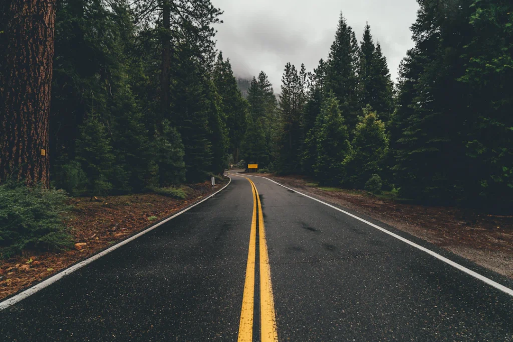 Road through trees, illustrating NDIS provider travel to a participant's home